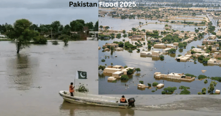 pakistan flood 2025 & solutions